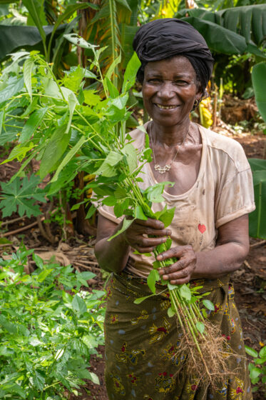 Visit by Scott Christiansen and Michael Major, consultants to Crop Trust, to document BOLDER value chain research on fonio and jute mallow in Benin. 11-17 October 2025.
Photo: Michael Major for Crop Trust