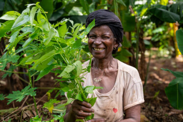 Visit by Scott Christiansen and Michael Major, consultants to Crop Trust, to document BOLDER value chain research on fonio and jute mallow in Benin. 11-17 October 2025.
Photo: Michael Major for Crop Trust