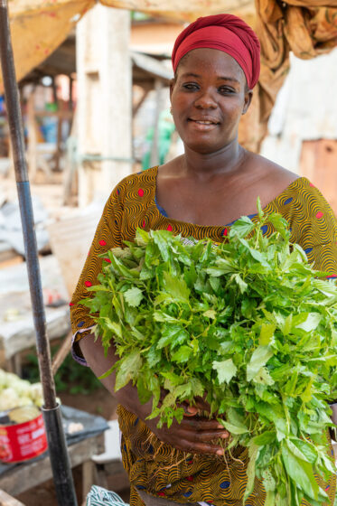 Vendor selling jute market in daily market in Natitingou, Benin
Visit by Scott Christiansen and Michael Major, consultants to Crop Trust, to document BOLDER value chain research on fonio and jute mallow in Benin. 11-17 October 2025.
Photo: Michael Major for Crop Trust