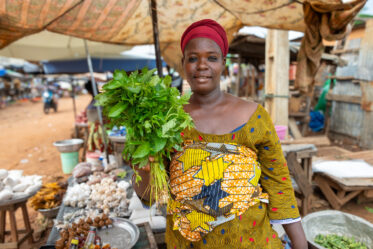 Vendor selling jute market in daily market in Natitingou, Benin
Visit by Scott Christiansen and Michael Major, consultants to Crop Trust, to document BOLDER value chain research on fonio and jute mallow in Benin. 11-17 October 2025.
Photo: Michael Major for Crop Trust