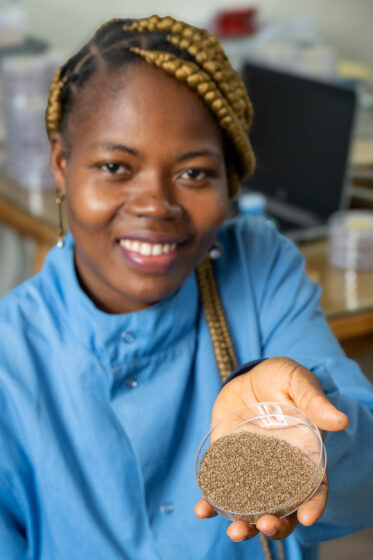 CalaviGen, the genebank of the University of Abomey-Calavi, safeguards a significant fonio collection.
Visit by Scott Christiansen and Michael Major, consultants to Crop Trust, to document BOLDER value chain research on fonio and jute mallow in Benin. 11-17 October 2025.
Photo: Michael Major for Crop Trust