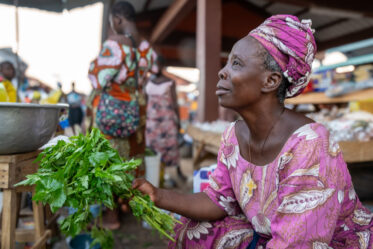 Jute mallow being sold in Central Market, Natitingou, Benin.
Visit by Scott Christiansen and Michael Major, consultants to Crop Trust, to document BOLDER value chain research on fonio and jute mallow in Benin. 11-17 October 2025.
Photo: Michael Major for Crop Trust
