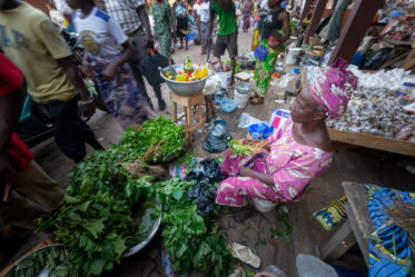 Jute mallow being sold in Central Market, Natitingou, Benin.
Visit by Scott Christiansen and Michael Major, consultants to Crop Trust, to document BOLDER value chain research on fonio and jute mallow in Benin. 11-17 October 2025.
Photo: Michael Major for Crop Trust