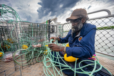 Documentation of activities of Aboriginal Sea Company in Darwin, Humpty Doo, Wadeye and Glyde Point, 10-12 November 2025. Photo: Michael Major for Cultivate