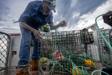 Documentation of activities of Aboriginal Sea Company in Darwin, Humpty Doo, Wadeye and Glyde Point, 10-12 November 2025. Photo: Michael Major for Cultivate
