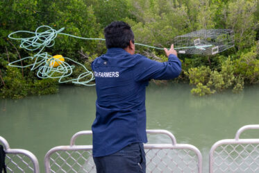 Documentation of activities of Aboriginal Sea Company in Darwin, Humpty Doo, Wadeye and Glyde Point, 10-12 November 2025. Photo: Michael Major for Cultivate