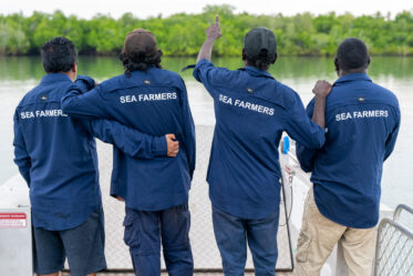Documentation of activities of Aboriginal Sea Company in Darwin, Humpty Doo, Wadeye and Glyde Point, 10-12 November 2025. Photo: Michael Major for Cultivate