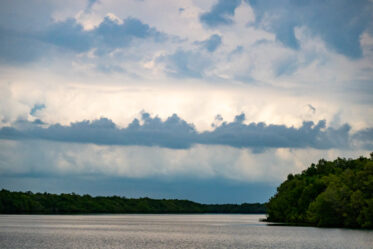 Documentation of activities of Aboriginal Sea Company in Darwin, Humpty Doo, Wadeye and Glyde Point, 10-12 November 2025. Photo: Michael Major for Cultivate