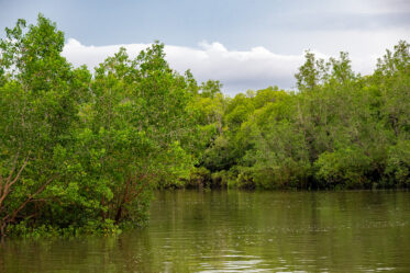 Documentation of activities of Aboriginal Sea Company in Darwin, Humpty Doo, Wadeye and Glyde Point, 10-12 November 2025. Photo: Michael Major for Cultivate