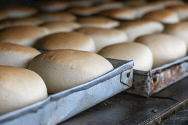 Esther Yoham Majija uses traditional African vegetables in products she makes at her bakery, the Fortlene Bakery, in Babati, Tanzania. A team from BOLDER and World Vegetable Center visited her to see products made with Bambara groundnut.
Photo: Michael Major for Crop Trust