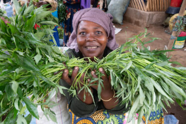 Sale of sweetpotato leaves and other leafy vegetables at morning market in Singida, Tanzania.
Photo: Michael Major for Crop Trust
