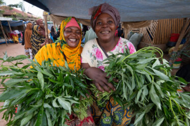 Sale of sweetpotato leaves and other leafy vegetables at morning market in Singida, Tanzania.
Photo: Michael Major for Crop Trust