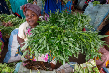 Sale of sweetpotato leaves and other leafy vegetables at morning market in Singida, Tanzania.
Photo: Michael Major for Crop Trust