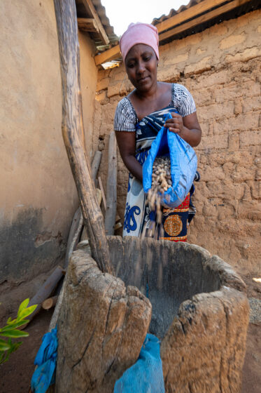 Traditional deshelling of Bambara groundnut in Unyamikumbi, Singida, Tanzania.
Photo: Michael Major for Crop Trust