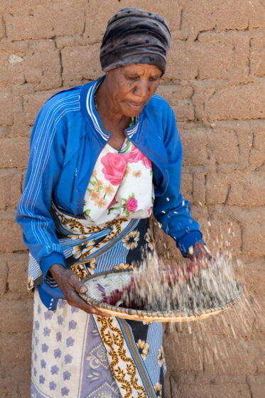 Traditional deshelling of Bambara groundnut in Unyamikumbi, Singida, Tanzania.
Photo: Michael Major for Crop Trust