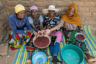 Traditional deshelling of Bambara groundnut in Unyamikumbi, Singida, Tanzania.
Photo: Michael Major for Crop Trust