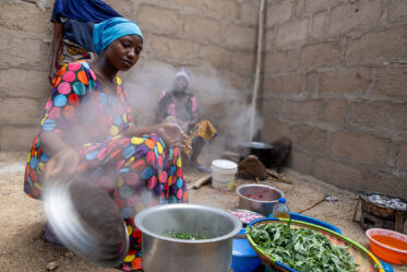 Preparation of sweetpotato leaves in Mwanganjuki, Tanzania.
Photo: Michael Major for Crop Trust