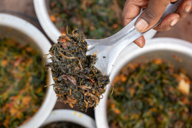 Preparation of sweetpotato leaves in Mwanganjuki, Tanzania.
Photo: Michael Major for Crop Trust