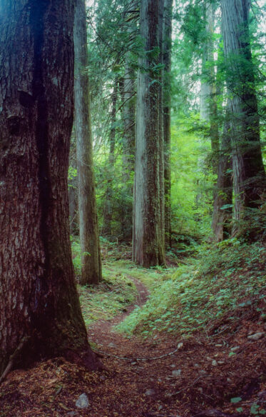 Big Beaver Trail, North Cascades, Washington. Hiked in August 1980