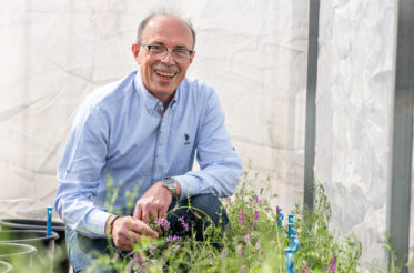 Curator of Forages and Range Species Dr. Ali Shehadeh in an isolation cage. Photo: Michael Major/Crop Trust