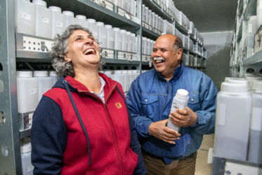 2018. Mariana Yazbek and Ahmed Amri in the active collection of ICARDA's genebank at Terbol station in Lebanon's Beqaa Valley. A new genebank was opened in Terbol in 2016. Photo: Michael Major/Crop Trust