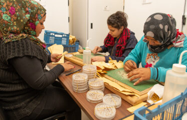 Fatmeh Moussa (left), Mariam Mofid (center) and Zahraa Hussain (right) prepare seed for viability testing at ICARDA Terbol genebank. Photo: Michael Major/Crop Trust