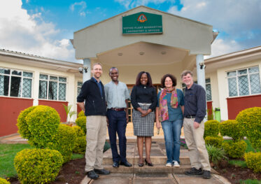 IITA’s Morag Ferguson and her team are eliminating viruses from cassava germplasm so that it can safely be transported from Kenya to IITA’s main genebank in Nigeria. Morag’s team is working with KEPHIS, Kenya Plant Health Inspectorate Service, to develop protocols that will lead to ensuring cassava germplasm is free of diseases and can be stored in genebanks so that we can safeguard cassava diversity forever. Photo: Michael Major/Crop Trust