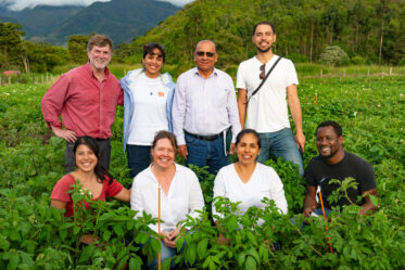 Trials of CWR-derived potatoes for late blight resistance at Oxapampa, Peru. Thiago Mendes and Mariela Aponte International Potato Center. Photo: Michael Major for Crop Trust