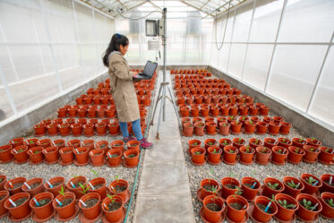 Kristel Hotuya, a Master of Science student at the Universidad Nacional Agraria La Molina (Peru). CWR Project 'Drought tolerance validation and screening in potato wild relatives and dihaploid (DH) progeny group'. Photo: Michael Major for Crop Trust