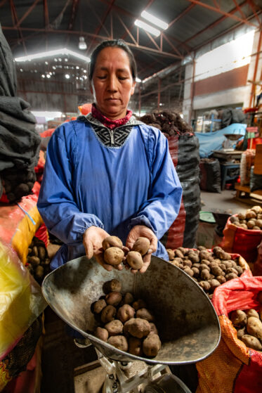 Potato diversity in Huancayo central market. Photo: Michael Major for Crop Trust