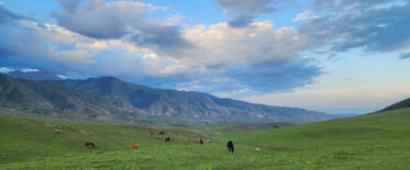 Horses grazing in jailoo grasslands, Kyrgyzstan with Issyk Kul in the distance
