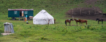 Crop Trust sponsored visit to Kazakhstan and Kyrgyzstan from 15-28 July to document alfalfa pre-breeding project. Photo: Michael Major for Crop Trust