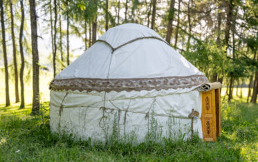 Crop Trust sponsored visit to Kazakhstan and Kyrgyzstan from 15-28 July to document alfalfa pre-breeding project. Photo: Michael Major for Crop Trust