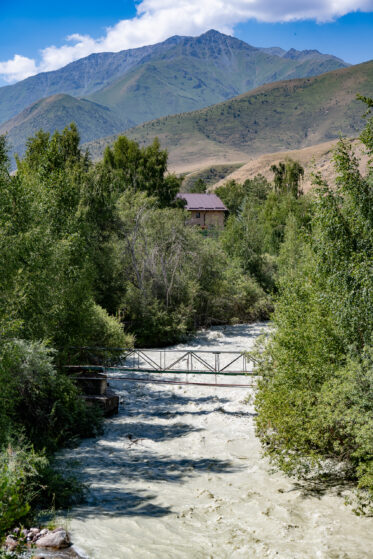 Crop Trust sponsored visit to Kazakhstan and Kyrgyzstan from 15-28 July to document alfalfa pre-breeding project. Photo: Michael Major for Crop Trust