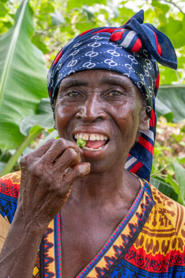 Dora Amsong Yeboah inspects Solanum torvum (abeduru) berries on her farm near Nsuta, Sekyere Central, Ashanti Region, Ghana. Dora protects volunteer plants that regenerate naturally on her inherited land — clearing around them, nurturing their growth, and harvesting recurring crops that provide meaningful cash income with virtually no inputs.
Photo: Michael Major for Crop Trust