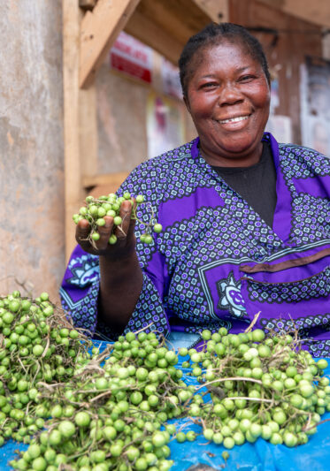 Dora Adoma sells 'Solanum torvum' (abeduru) at Nsuta market, Sekyere Central, Ashanti Region, Ghana. Trading on market days — mainly Thursdays and Sundays — she sources berries from multiple local suppliers, negotiating small-unit sales in a quietly thriving informal trade that feeds everyday Ghanaian kitchens.
Photo: Michael Major for Crop Trust