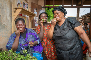 Dora Adoma sells 'Solanum torvum' (abeduru) at Nsuta market, Sekyere Central, Ashanti Region, Ghana. Trading on market days — mainly Thursdays and Sundays — she sources berries from multiple local suppliers, negotiating small-unit sales in a quietly thriving informal trade that feeds everyday Ghanaian kitchens.
Photo: Michael Major for Crop Trust