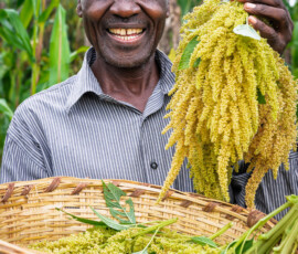 Photo: Michael Major for Crop Trust
