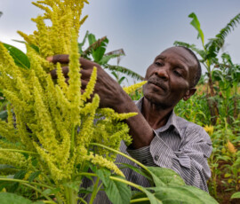Photo: Michael Major for Crop Trust