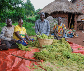 Photo: Michael Major for Crop Trust