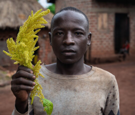 Photo: Michael Major for Crop Trust