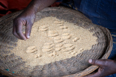 Photo: Michael Major for Crop Trust