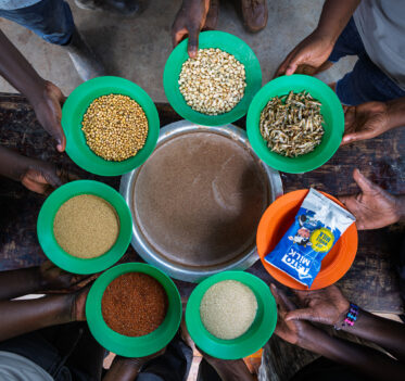 An overhead view of the composite-flour ingredients held by ISU-UP/IOWA group members. Grain amaranth – the crop linking farmer procurement, seed multiplication and the program's nutrition platform – sits alongside finger millet, maize, soybean, dried silver fish, sugar and milk. The blended porridge at centre is the working end of a chain that runs from farmer field to nutrition centre and school feeding
Photo: Michael Major for Crop Trust