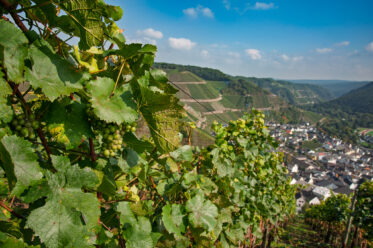 Ahr Valley, Rhineland Palatinate, Germany: Village of Dernau as seen from the 'Rotweinwanderweg', the Red Wine Hiking Trail in Germany's Ahr Valley